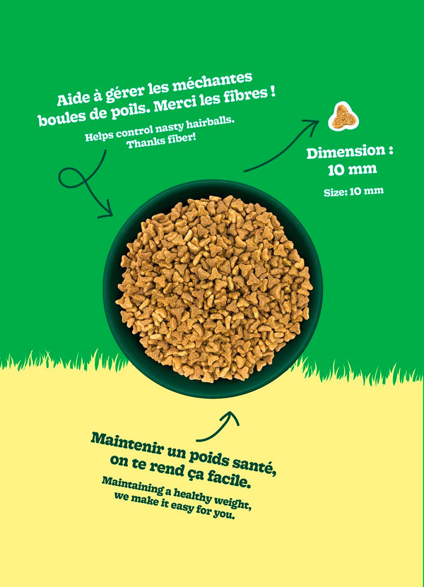 Nourriture pour chat adulte formule Original - poulet