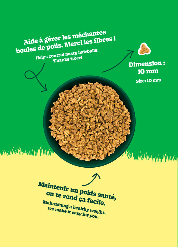 Nourriture pour chat adulte formule Original - poulet - Animatout