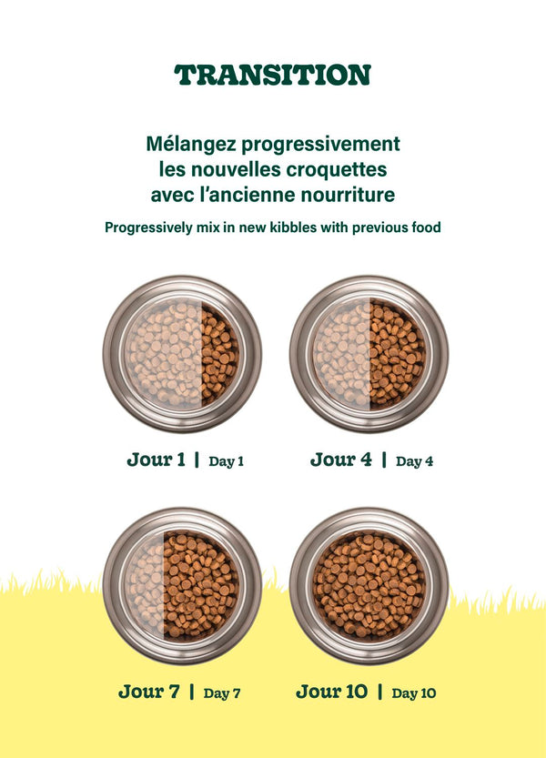 Nourriture pour chat adulte formule Original - poulet