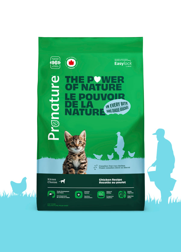 Nourriture pour chaton formule Original - poulet - Animatout