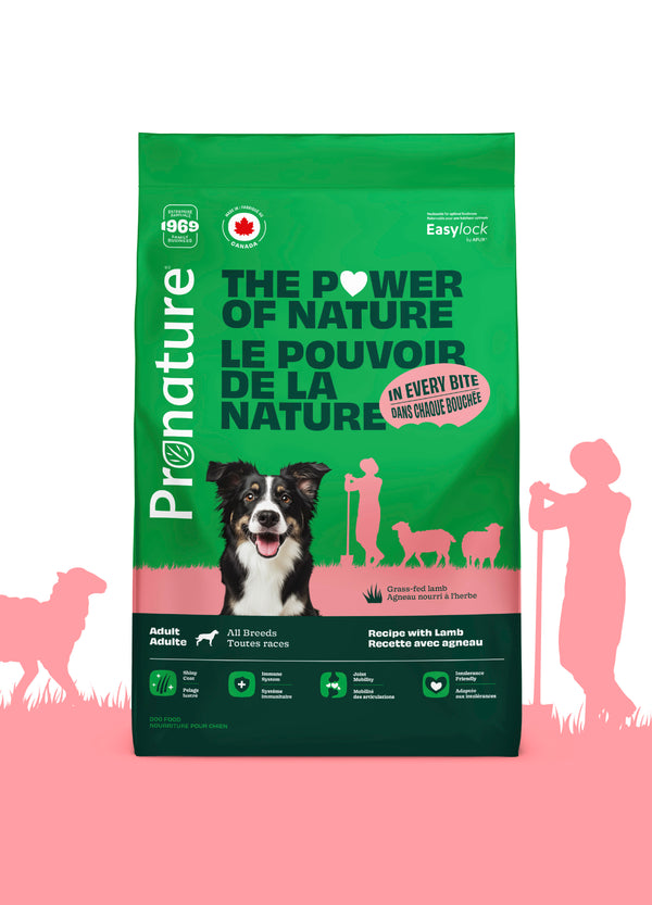Nourriture pour chien adulte formule Original, toutes races - agneau avec pois et orge - Animatout