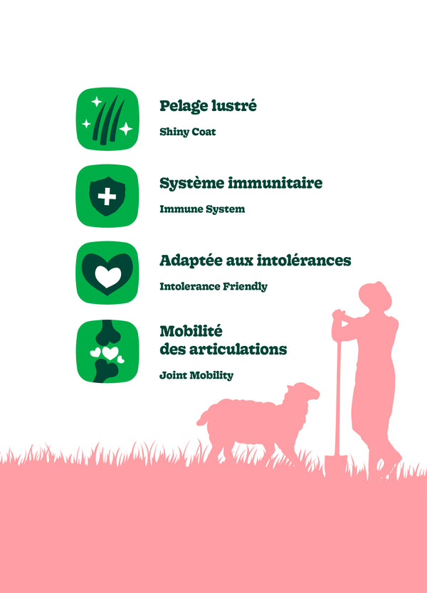 Nourriture pour chien adulte formule Original, toutes races - agneau avec pois et orge - Animatout