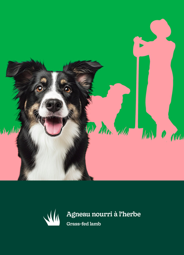 Nourriture pour chien adulte formule Original, toutes races - agneau avec pois et orge - Animatout