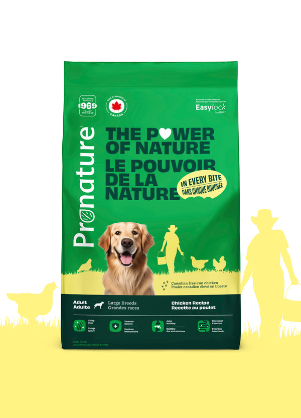 Nourriture pour chien adulte formule Original, grandes races - poulet avec avoine - Animatout