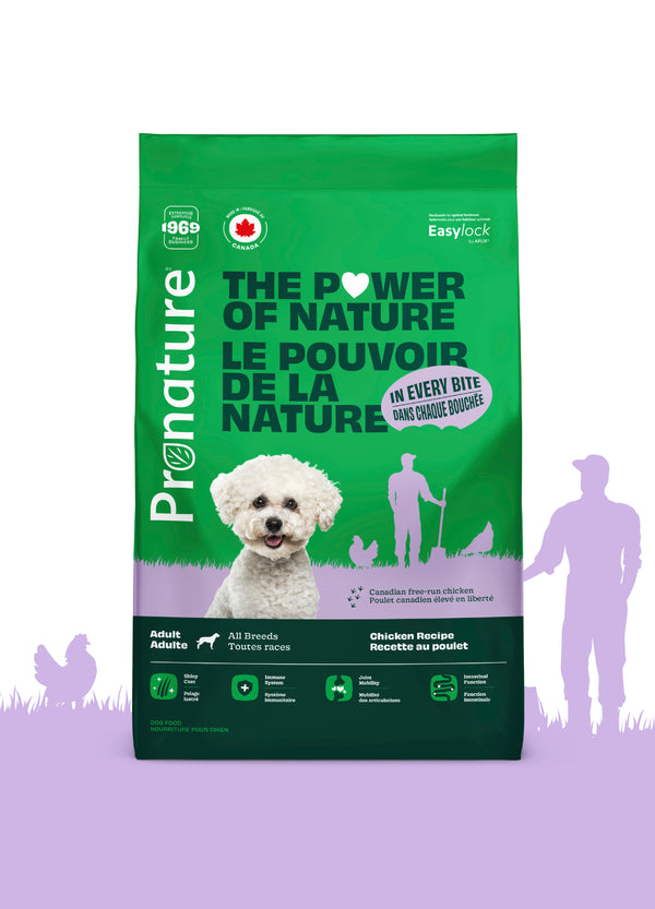 Nourriture pour chien adulte formule Original, toutes races - poulet avec avoine - Animatout
