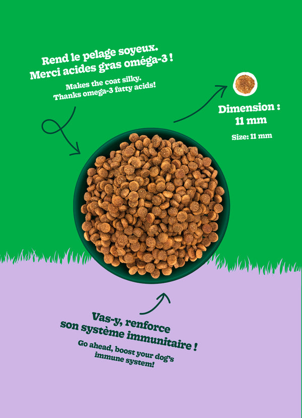 Nourriture pour chien adulte formule Original, toutes races - poulet avec avoine - Animatout