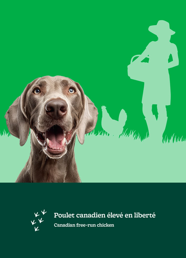 Nourriture pour chien sénior, formule Original, toutes races - poulet avec avoine