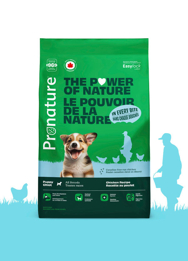 Nourriture pour chiot formule Original, toutes races - poulet avec avoine - Animatout