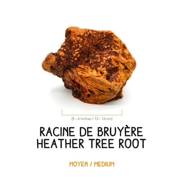 Racine de bruyère à gruger pour chien