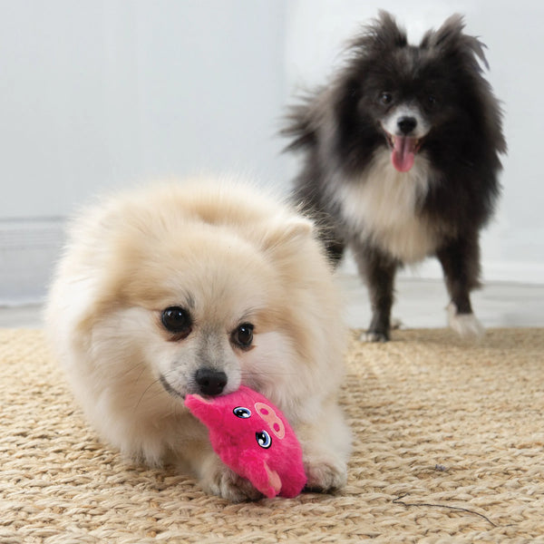 Jouet en peluche pour chien « Snuzzles » Cochon Très-petit