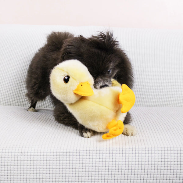 Jouet en peluche pour chien « Toughz » Canard moyen
