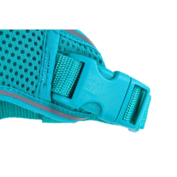 Harnais aventure pour chats, Turquoise