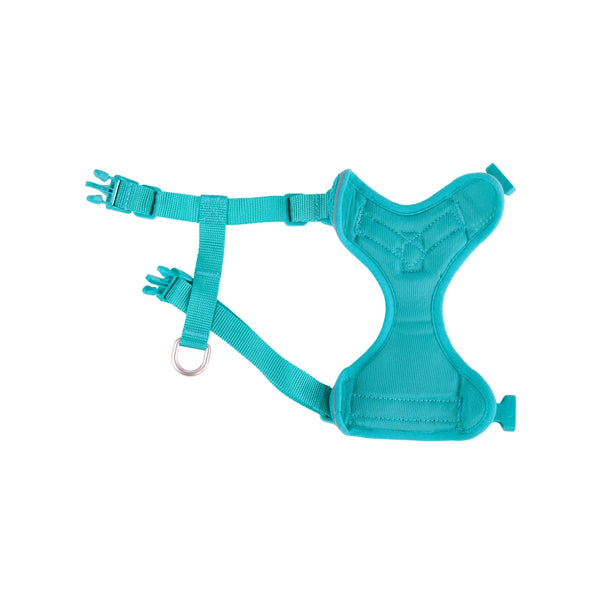 Harnais aventure pour chats, Turquoise