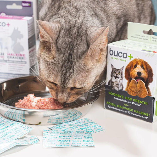 Buco+ Haleine fraîche 10 jours pour chat et chien 10g
