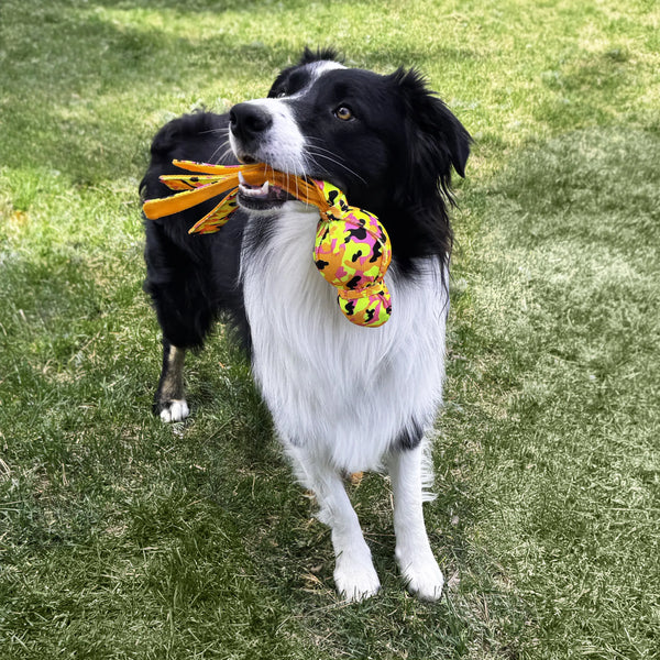 Jouet pour chien « Wubba » Balistique Haute Visibilité grand