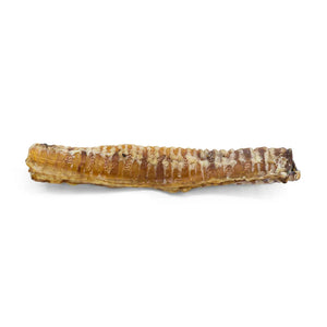 Trachée de veau pour chien, 12" - Animatout