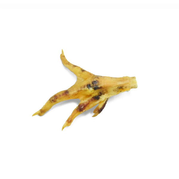 Patte de poulet pour chien et chat - Animatout