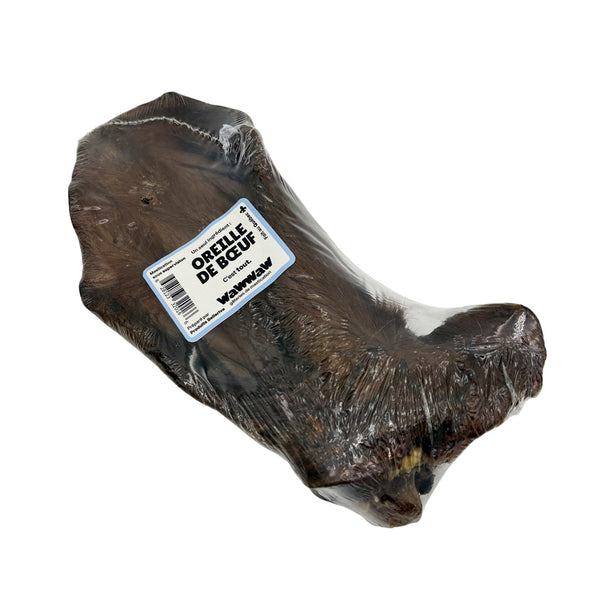 Oreille de boeuf poilue pour chien