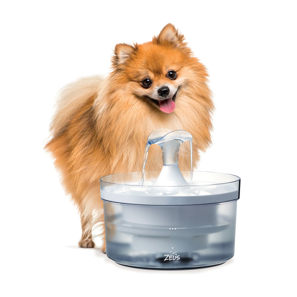 Abreuvoir pour chien Fresh & Clear avec bec pour jet d’eau, 1,5 l - Animatout