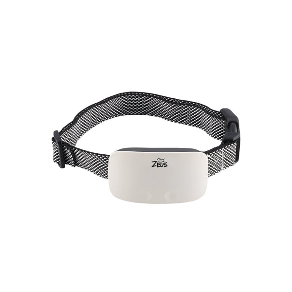 Collier anti-aboiement pour chien Ranger SC Zeus avec stimulation statique