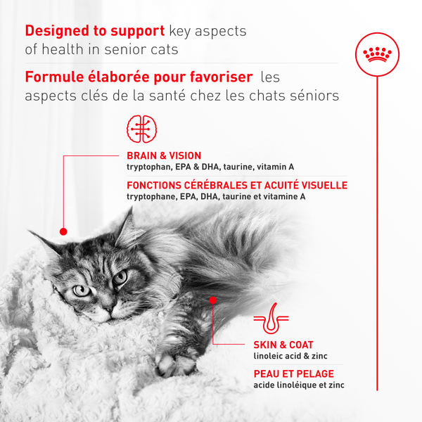 ÂGÉ 11+ nourriture sèche pour chats, 2.73 kg, (6 lb)