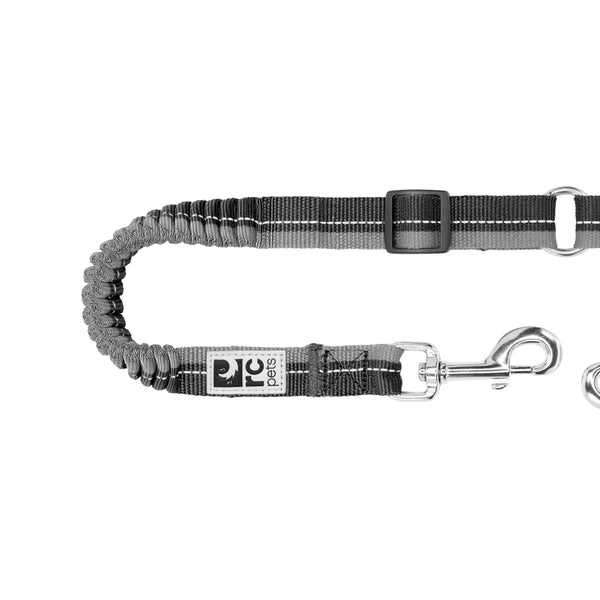 Coupleur élastique pour chien noir