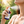 Simple solution répulsif à tiques et moustiques Probléma-tique 120 ml
