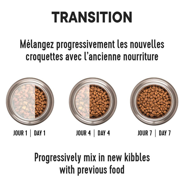 Nourriture pour chat adulte, hypoallergène - morue sans grains
