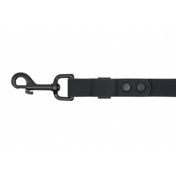 Laisse imperméable pour chien longue 3/4x10pi Noir