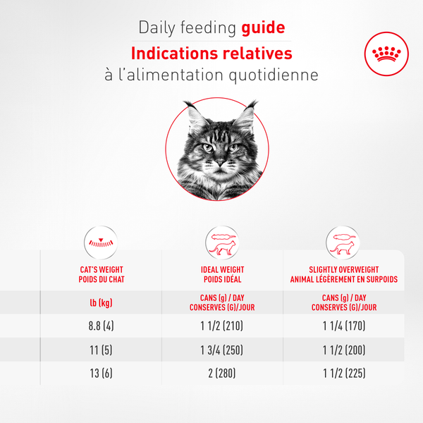 ÂGÉ 11+ mousse ultra onctueuse en sauce - nourriture en conserve pour chats, 145 g, (5.1 oz)