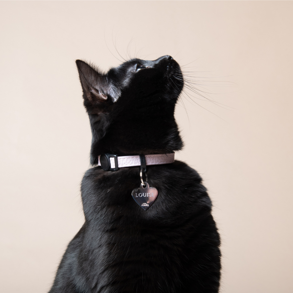 Collier pour Chat Firenze en Cuir Véritable