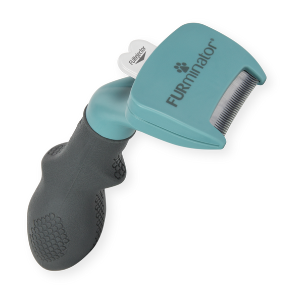 Outils d'élimination du sous-poils pour chats à poils longs