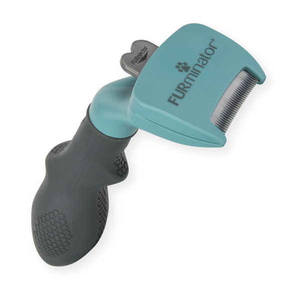 Outils d'élimination du sous-poils pour chats à poils courts