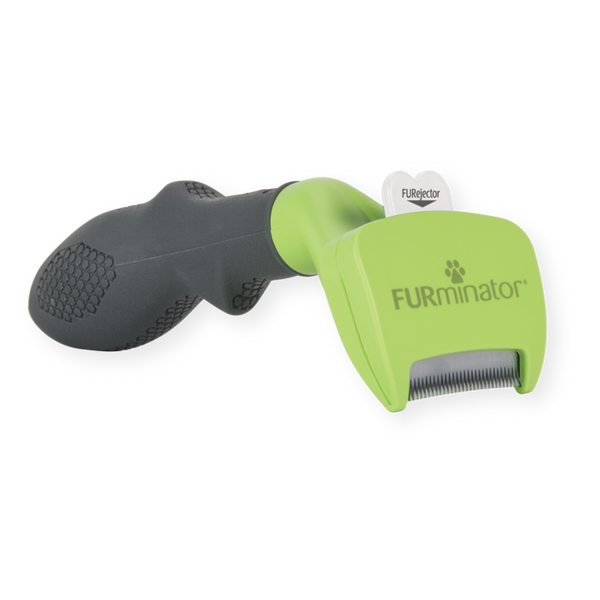 Outils d'élimination du sous-poils pour chiens à poils courts