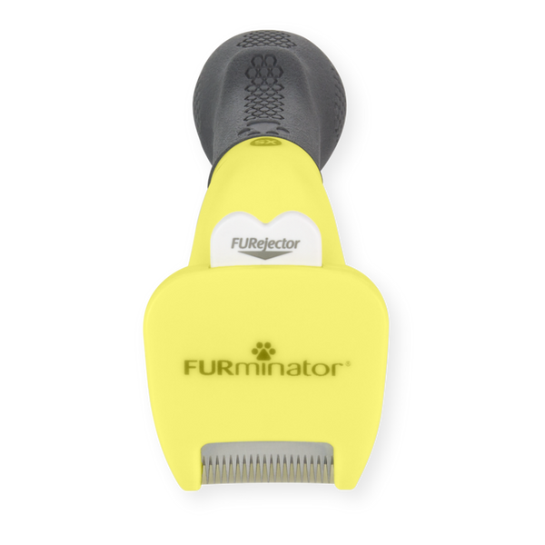 Outils d'élimination du sous-poils pour chiens à poils longs