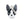 Médaille pour chien Friends Boston Terrier