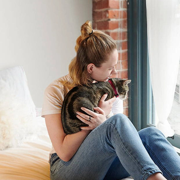 Collier sécuritaire pour chats, Azalée