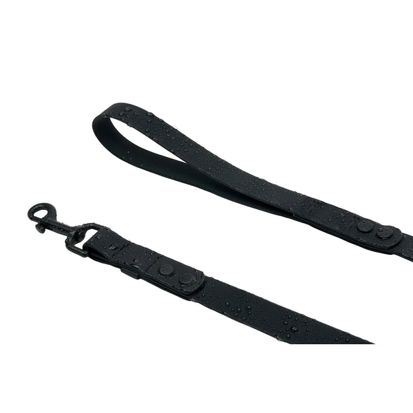 Laisse imperméable pour chien longue 3/4x10pi Noir