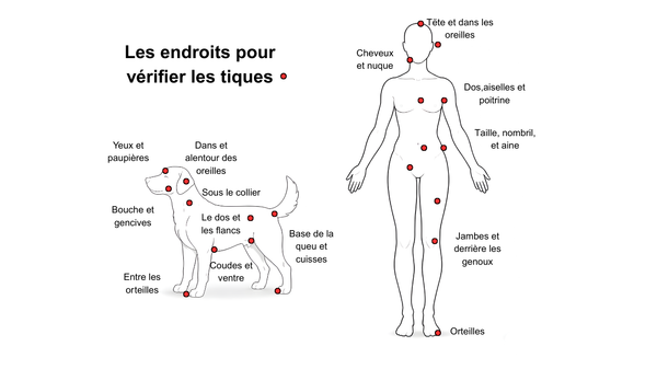 Simple solution répulsif à tiques et moustiques Probléma-tique 120 ml