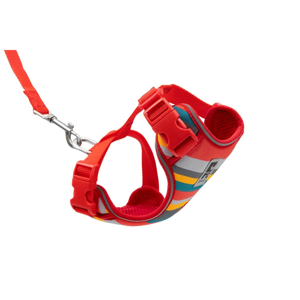 Harnais aventure pour chats, Multi rayures