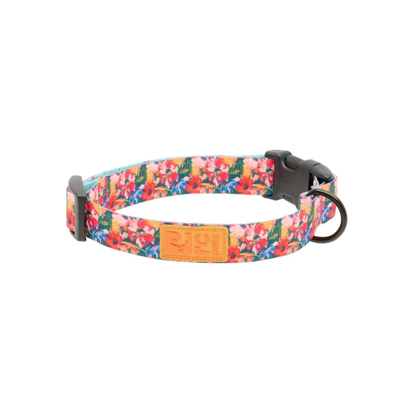 Collier pour chien ÉCO, Fleurs sauvages