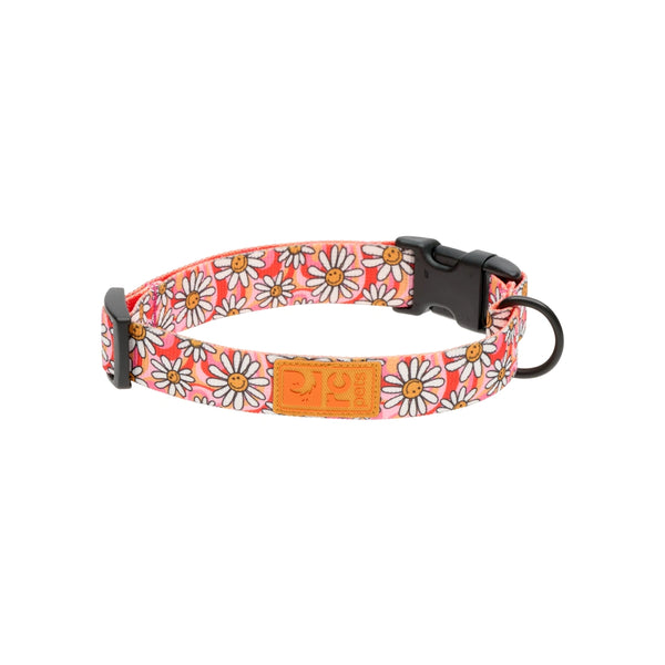 Collier pour chien ÉCO Joie de marguerite