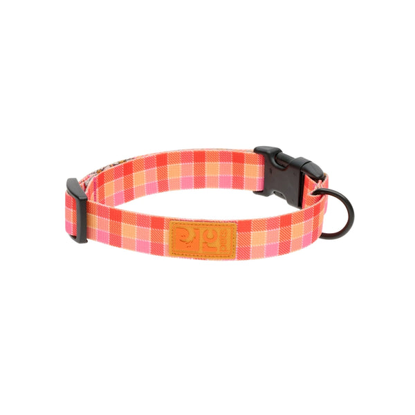 Collier pour chien ÉCO Vichy joyeux