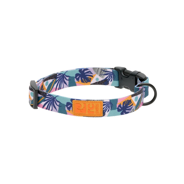 Collier pour chien ÉCO Monstera