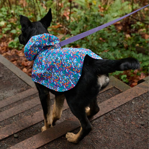 Poncho imperméable ultra-compact pour chien - Lever de soleil