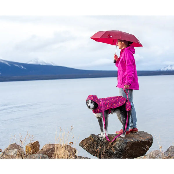 Poncho imperméable ultra-compact pour chien - Gouttes de pluie