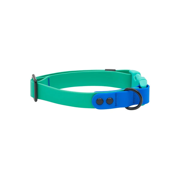 Collier imperméable pour chien Perruche/Saphir