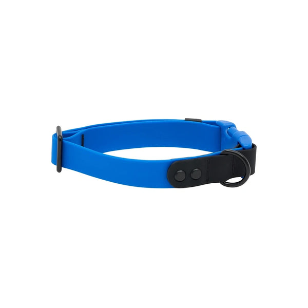 Collier imperméable pour chien Saphir/Noir