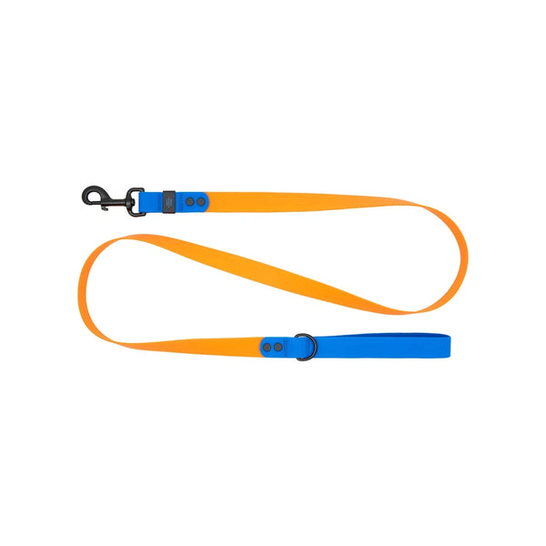 Laisse imperméable pour chien 5 pieds Orange/Saphir