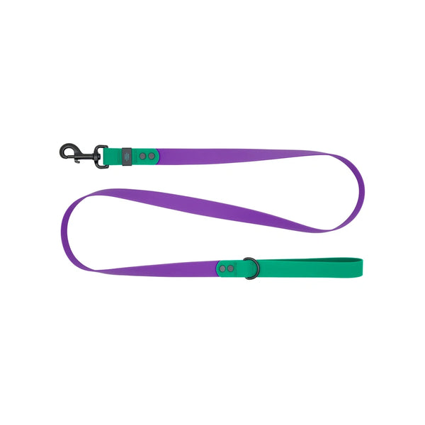 Laisse imperméable pour chien 5 pieds Mauve/Perruche